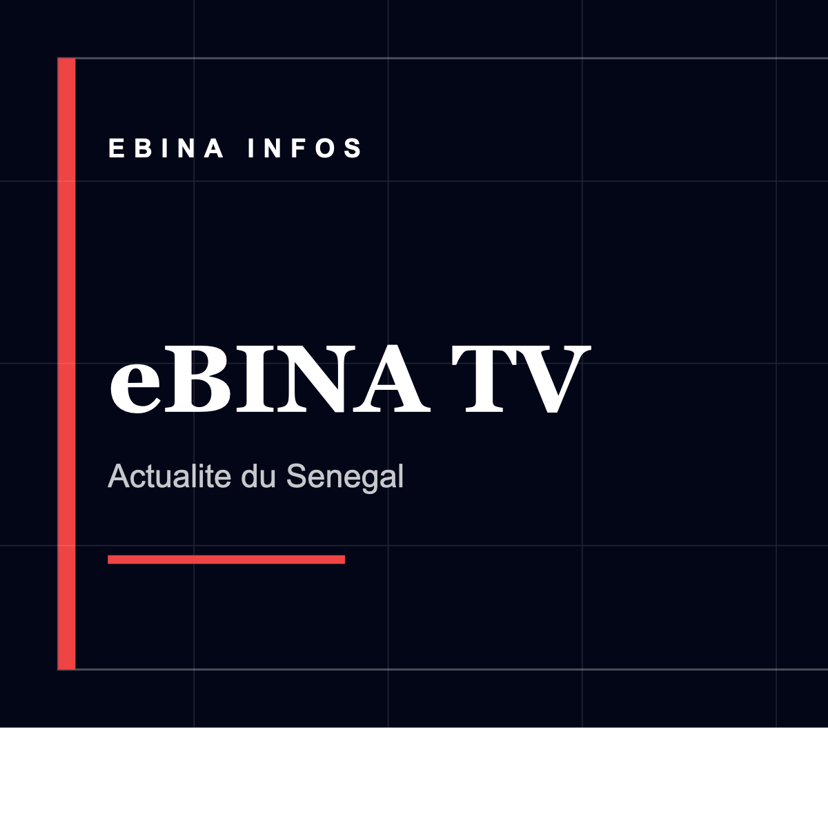 eBINA TV: un espace pour les formats video