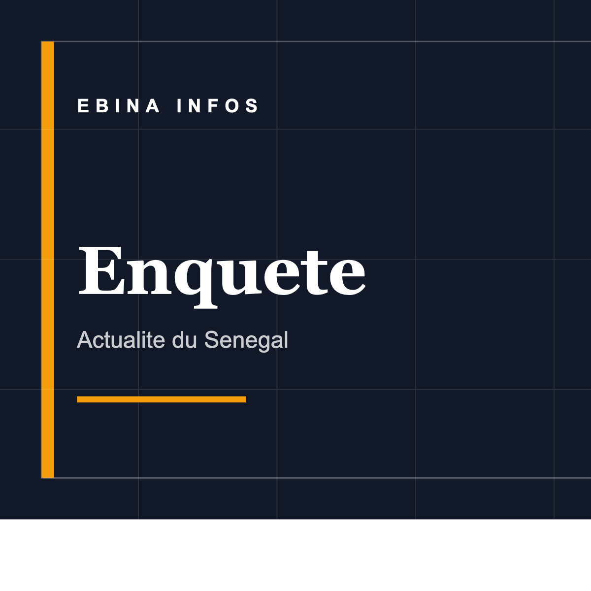 Enquete: verifier, contextualiser, expliquer
