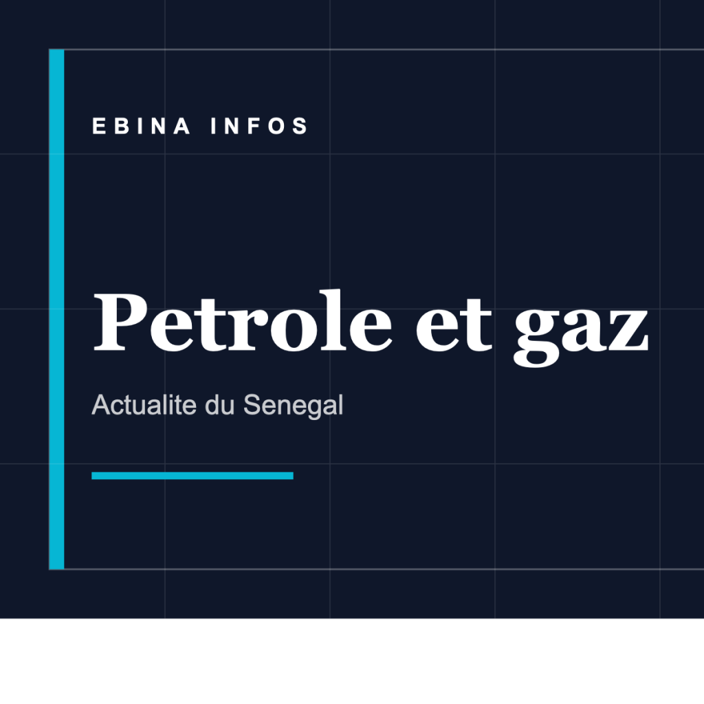Ebina Infos - Petrole et gaz