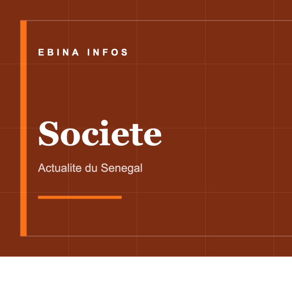 Ebina Infos - Societe