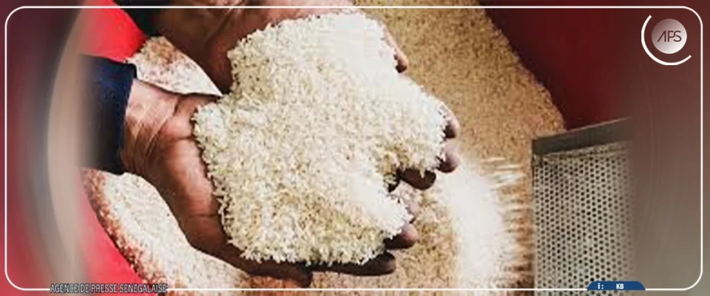 Riz local : un plan d’urgence annoncé pour relancer la commercialisation